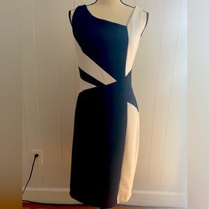 Navy and White Color Block Dress
